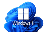 WINDOWS 11 PRO INSTALLATION WITH DRIVERS AND OFFICE PACK