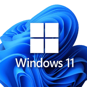 WINDOWS 11 PRO INSTALLATION WITH DRIVERS AND OFFICE PACK